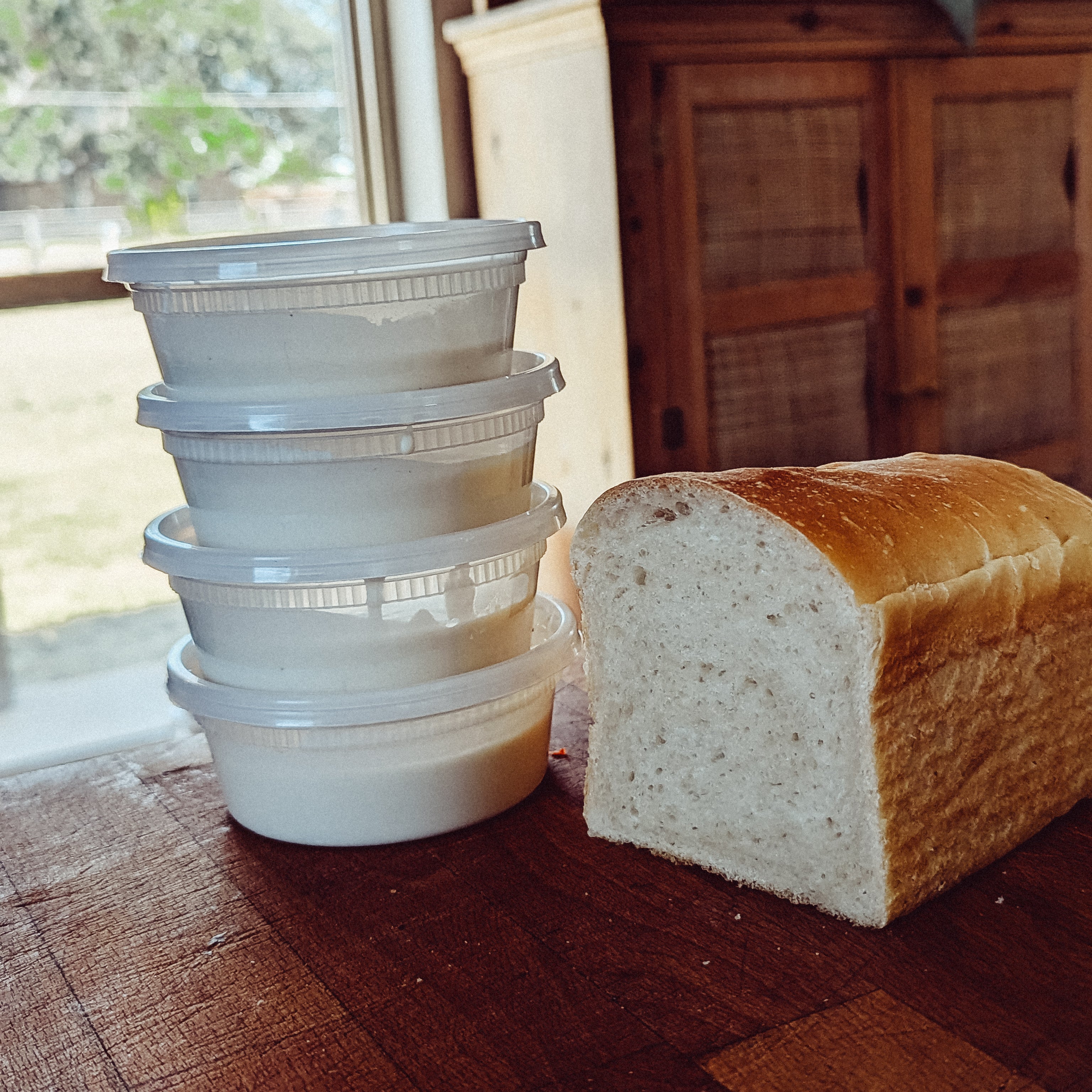 Sourdough Starter