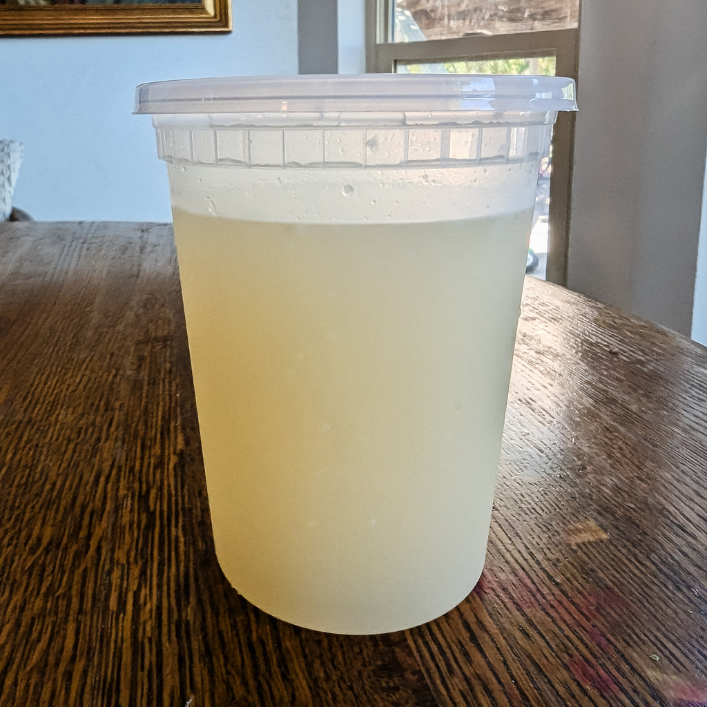 Chicken Broth - Frozen