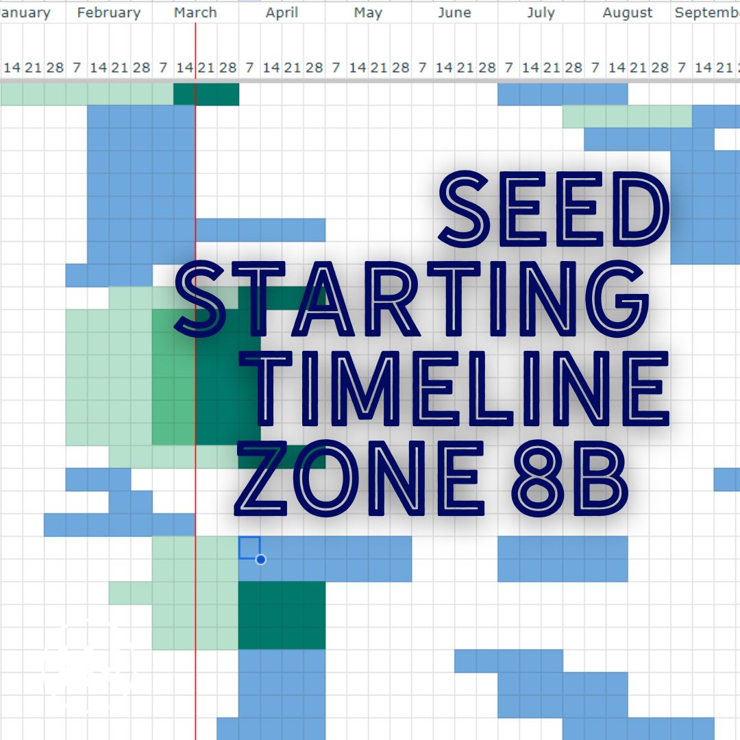 Planting Timeline for Zone 8b