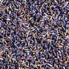 Dried Lavender